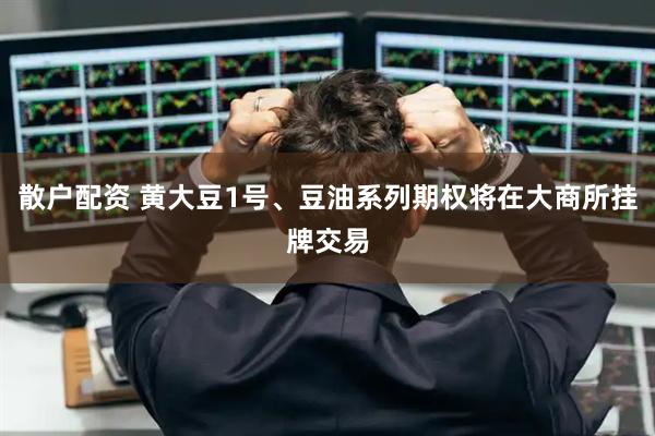 散户配资 黄大豆1号、豆油系列期权将在大商所挂牌交易